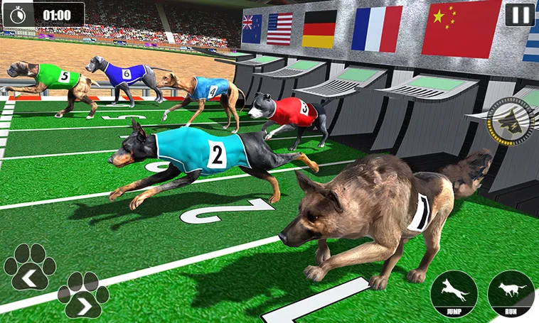 Cách Chơi Game Nhanh Đua Chó Tại JBO: Hướng Dẫn Thắng Cược